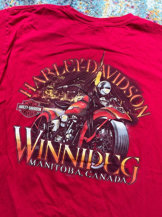 Harley-Davidson Other - Vintage Harley Davidson shirt